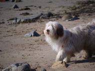 24.04.2011 Molly